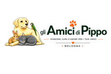 Gli Amici di Pippo