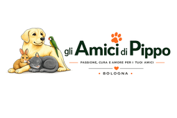 Gli Amici di Pippo
