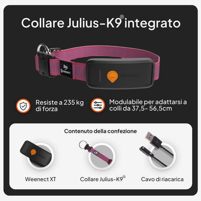 Weenect XT GPS cane