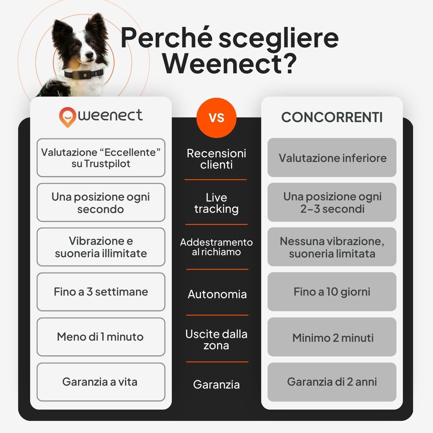 Weenect XT - Collare Julius-K9 integrato