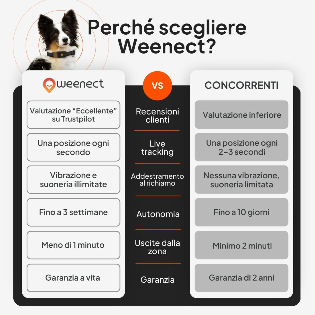 Collare Julius-K9 integrato con tracker Weenect XT