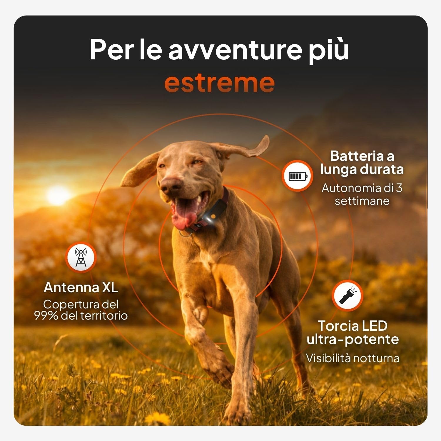 Weenect XT - 3 semplici passaggi