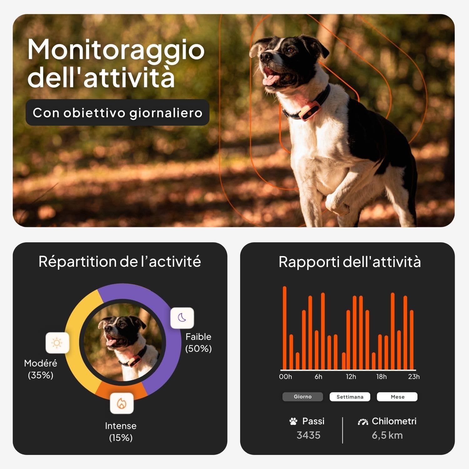 Weenect XS GPS per cani