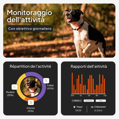 Weenect XS GPS per cani