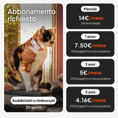 Weenect XT GPS cane - avventure estreme