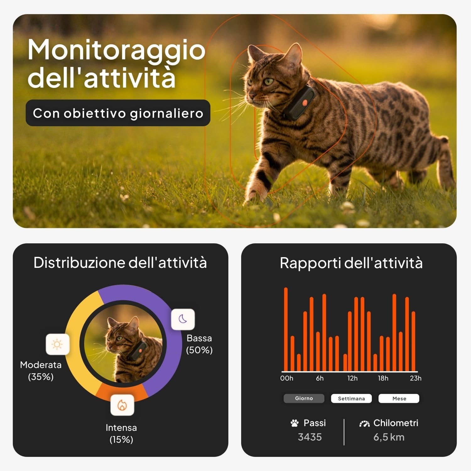 Weenect GPS Gatto Nero