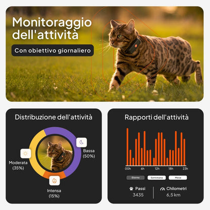 Weenect GPS Gatto Nero