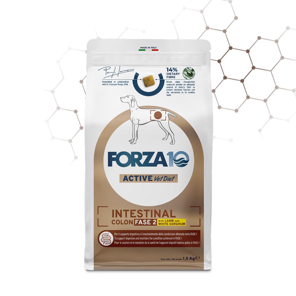 Forza10 Active Vet Diet Intestinal Colon Fase 2 Agnello e Sorgo Bianco 10 kg